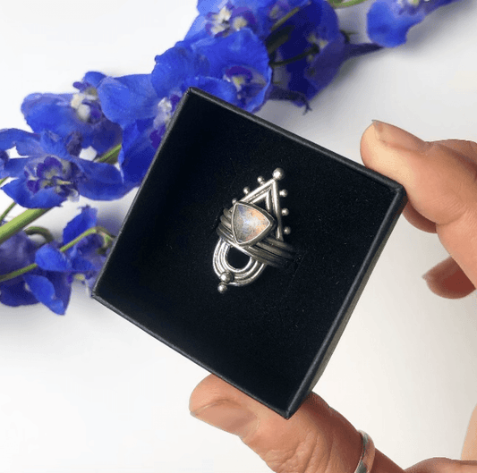 Discover the Portal Collection